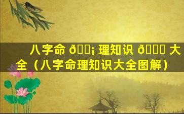 八字命 🐡 理知识 🐋 大全（八字命理知识大全图解）